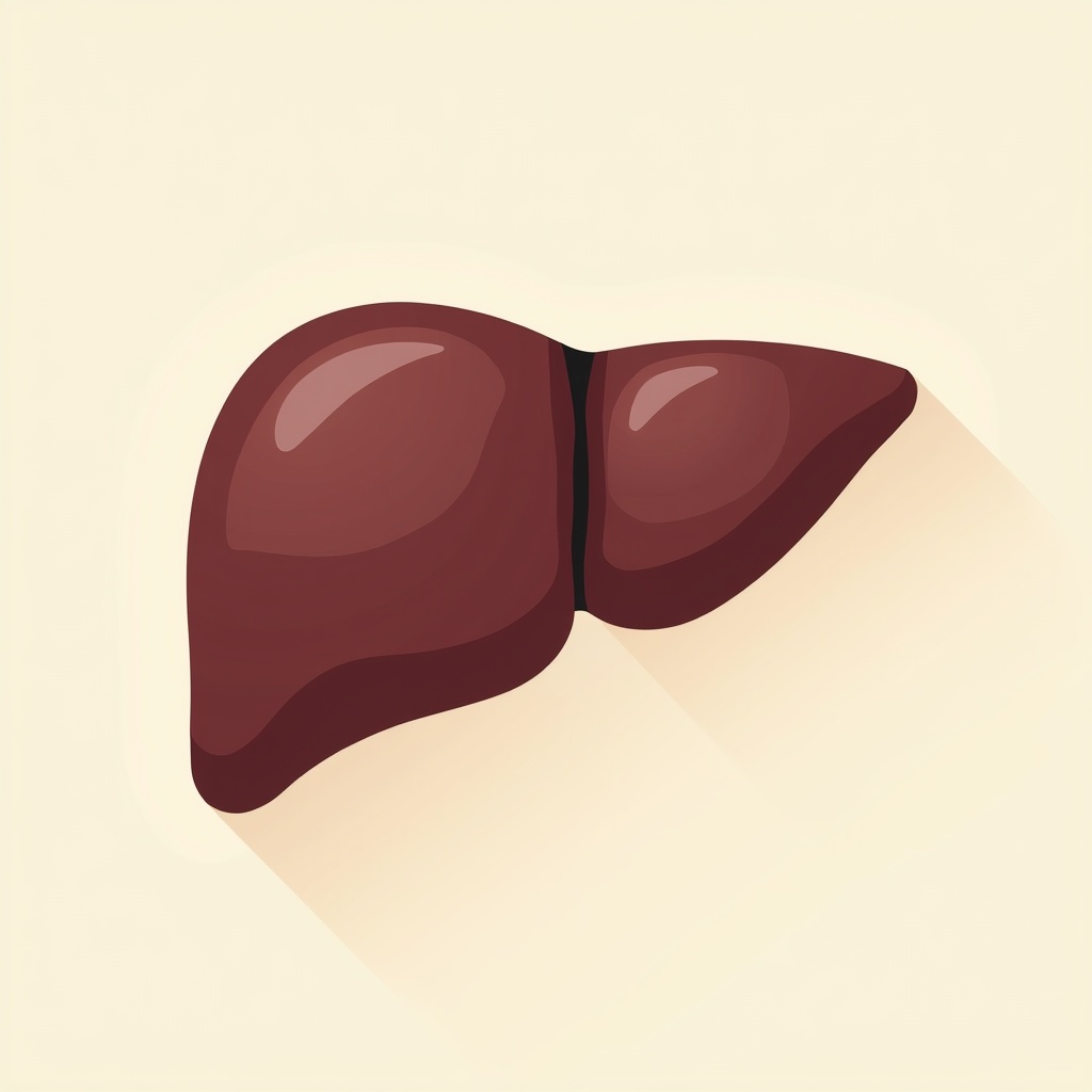 Illustration of a healthy liver